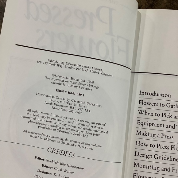 Vintage Pressed Flower Craft Book - Picture 6 of 14